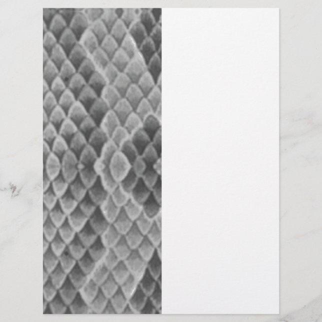 Gray Snakeskin (Voorkant)