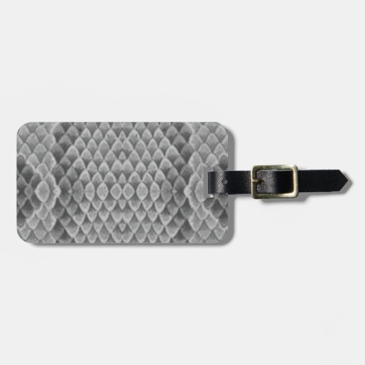 Gray Snakeskin Bagagelabel (Voorkant horizontaal)
