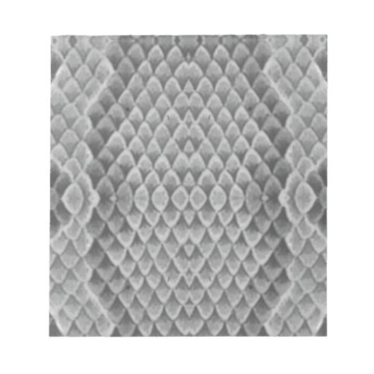 Gray Snakeskin Notitieblok (Voorkant)
