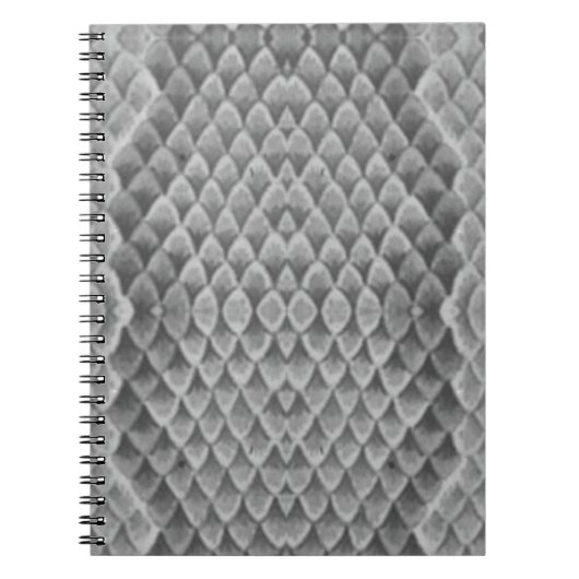 Gray Snakeskin Notitieboek (Voorkant)