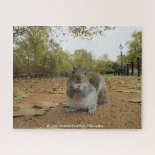 Gray Squirel Hyde Park Londen Jigzaag Puzzle Legpuzzel