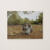 Gray Squirel Hyde Park Londen Legpuzzel (Horizontaal)
