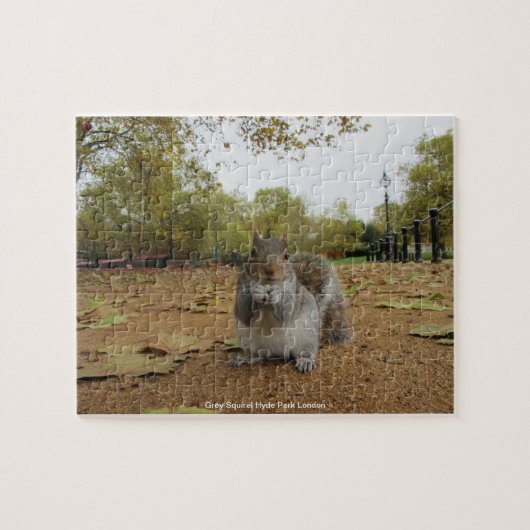 Gray Squirel Hyde Park Londen Legpuzzel (Horizontaal)