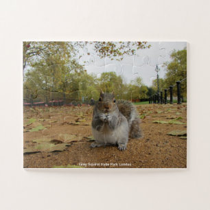 Gray Squirel Hyde Park Londen Legpuzzel