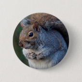 Gray Squirrel Badge Ronde Button 5,7 Cm (Voorkant)