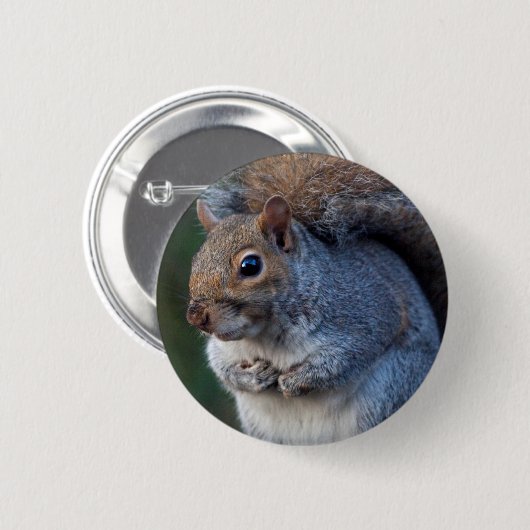 Gray Squirrel Badge Ronde Button 5,7 Cm (Voorkant /achterkant)