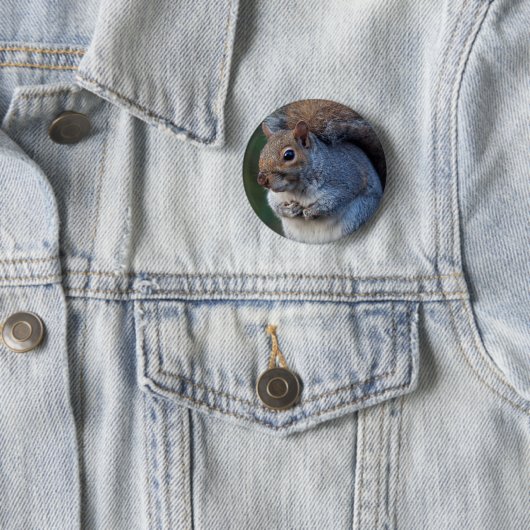 Gray Squirrel Badge Ronde Button 5,7 Cm (In situ)
