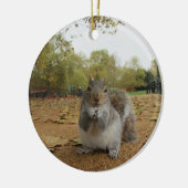 Gray Squirrel Hyde Park. Keramisch Ornament (Links)