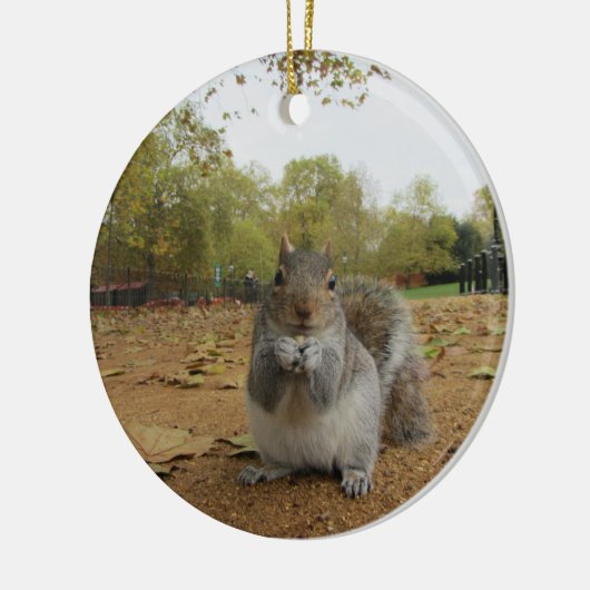 Gray Squirrel Hyde Park. Keramisch Ornament (Links)