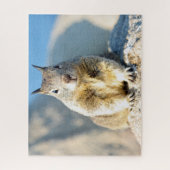 Gray squirrel, Monterey Bay, Californië Legpuzzel (Verticaal)