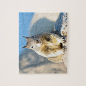 Gray squirrel, Monterey Bay, Californië Legpuzzel (Verticaal)