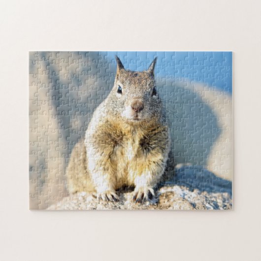Gray squirrel, Monterey Bay, Californië Legpuzzel (Horizontaal)