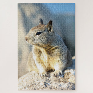 Gray squirrel, Monterey Bay, Californië Legpuzzel