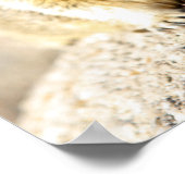 Gray squirrel, Monterey Bay, Californië Poster (Hoek)