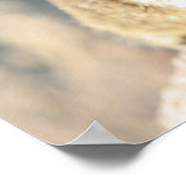 Gray squirrel, Monterey Bay, Californië Poster (Hoek)