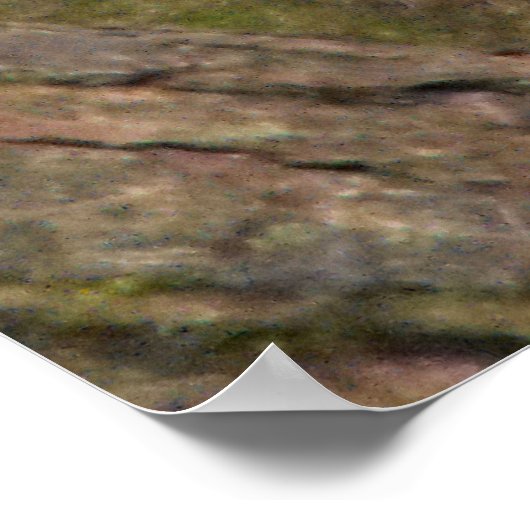 Gray Squirrel portret Poster (Hoek)