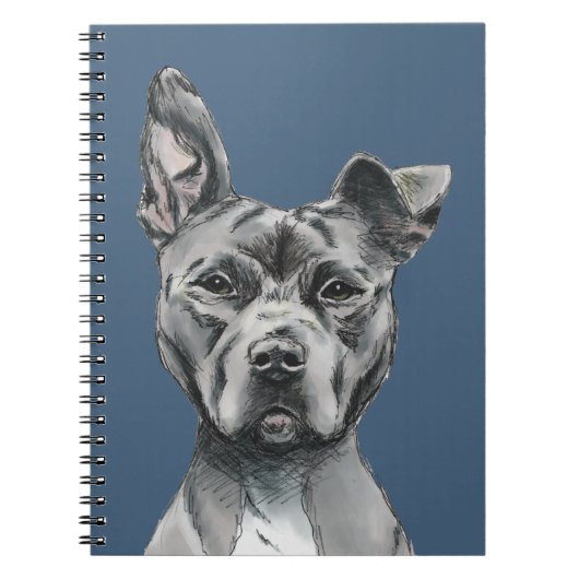 Gray Stalky Pit Bull Dog Tekening Notitieboek (Voorkant)