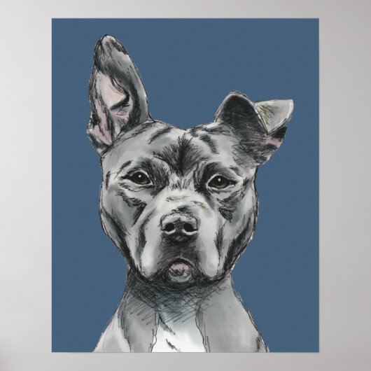 Gray Stalky Pit Bull Dog Tekening Poster (Voorkant)