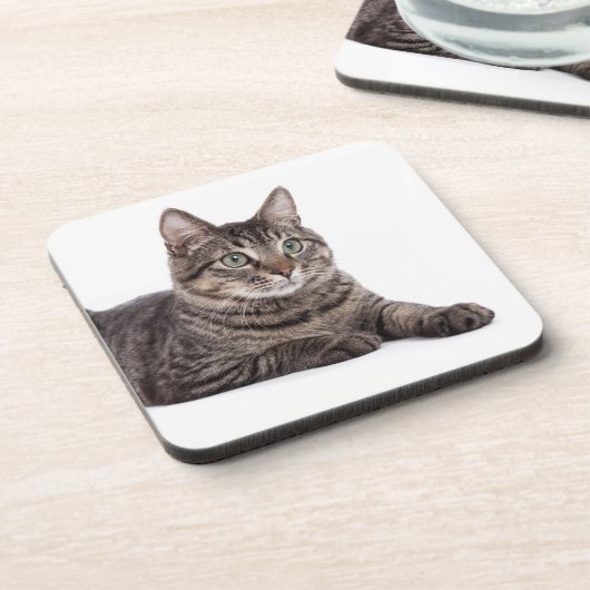 Gray Tabby Cat Bier Onderzetter (Linkerzijde)