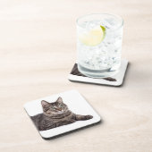 Gray Tabby Cat Bier Onderzetter (Rechterzijde)