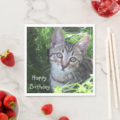 Gray Tabby Cat Birthday Servet (Insitu)