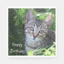 Gray Tabby Cat Birthday Servet