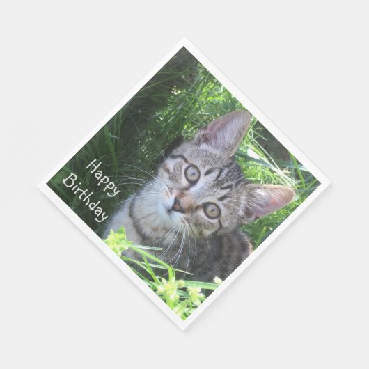 Gray Tabby Cat Birthday Servet (Hoek)