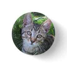 Gray Tabby Cat Button