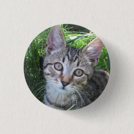 Gray Tabby Cat Button