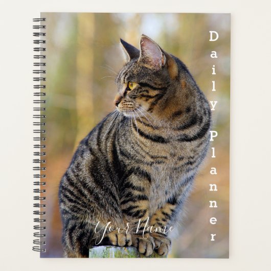 Gray Tabby Cat - Daily Planner - HAMbWG (Voorkant)