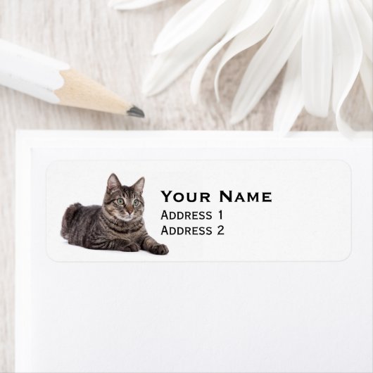 Gray Tabby Cat Etiket (Insitu)