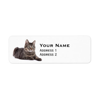 Gray Tabby Cat Etiket