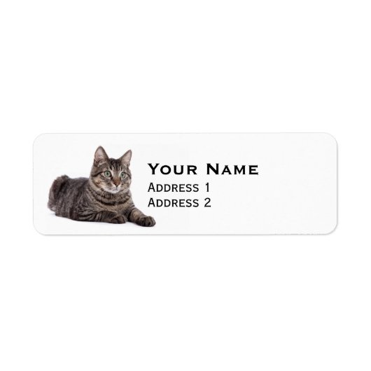 Gray Tabby Cat Etiket (Voorkant)