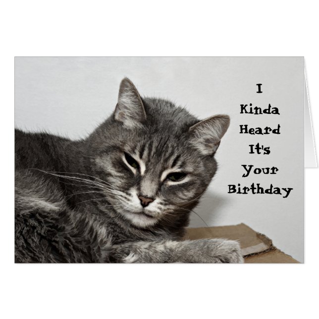Gray Tabby Cat Funny Birthday (Voorkant Horizontaal)
