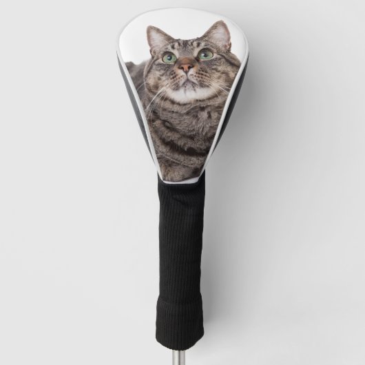 Gray Tabby Cat Golfheadcover (Voorkant)