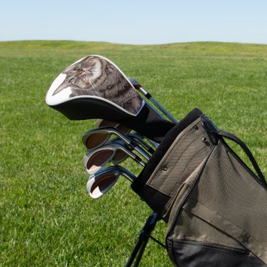 Gray Tabby Cat Golfheadcover (Insitu)