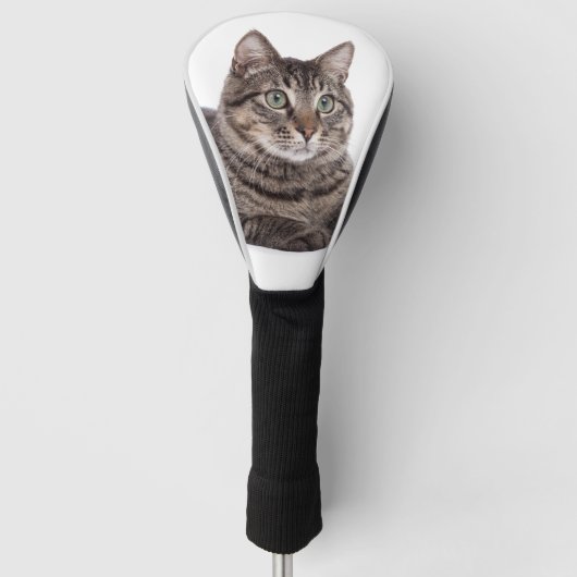 Gray Tabby Cat Golfheadcover (Voorkant)