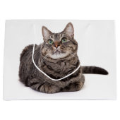 Gray Tabby Cat Groot Cadeauzakje (Voorkant)