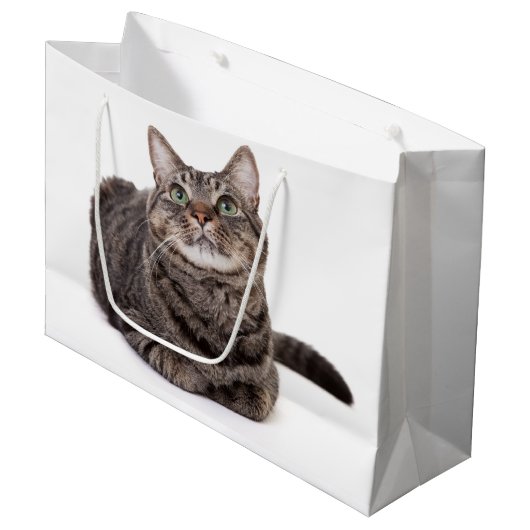Gray Tabby Cat Groot Cadeauzakje (Voorkant Gekanteld)
