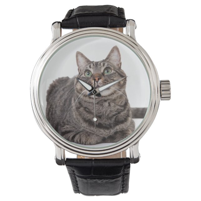 Gray Tabby Cat Horloge (Voorkant)