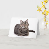 Gray Tabby Cat Kaart (Gele Bloem)