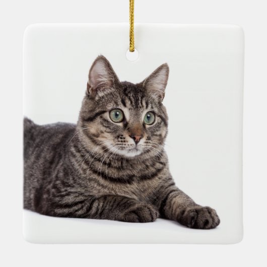 Gray Tabby Cat Keramisch Ornament (Achterkant)