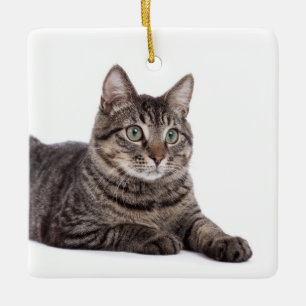 Gray Tabby Cat Keramisch Ornament