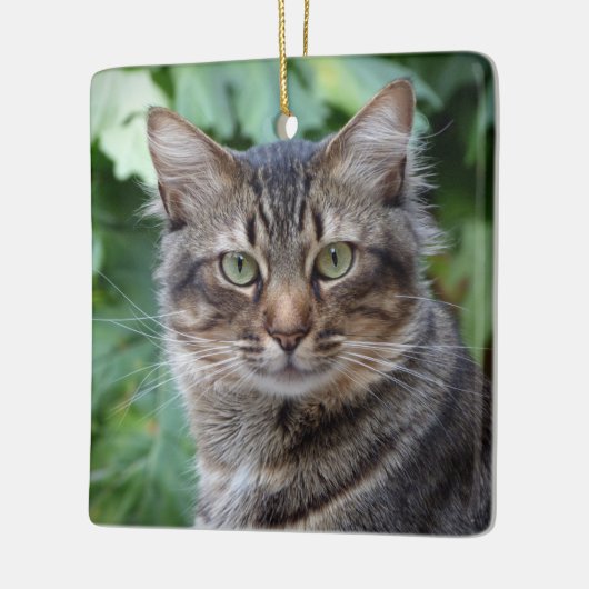 Gray Tabby Cat Keramisch Ornament (Links)