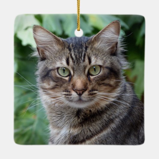Gray Tabby Cat Keramisch Ornament (Achterkant)