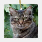 Gray Tabby Cat Keramisch Ornament (Voorkant)