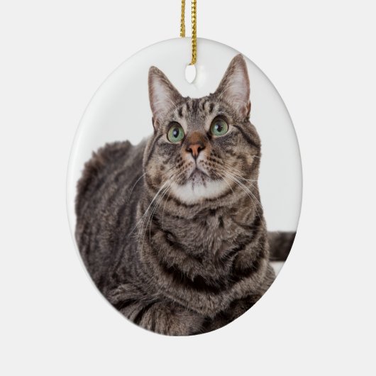 Gray Tabby Cat Keramisch Ornament (Rechts)