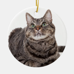 Gray Tabby Cat Keramisch Ornament
