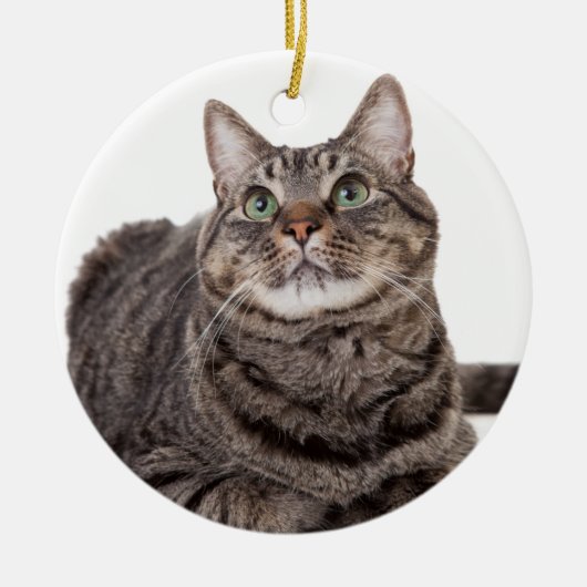 Gray Tabby Cat Keramisch Ornament (Voorkant)