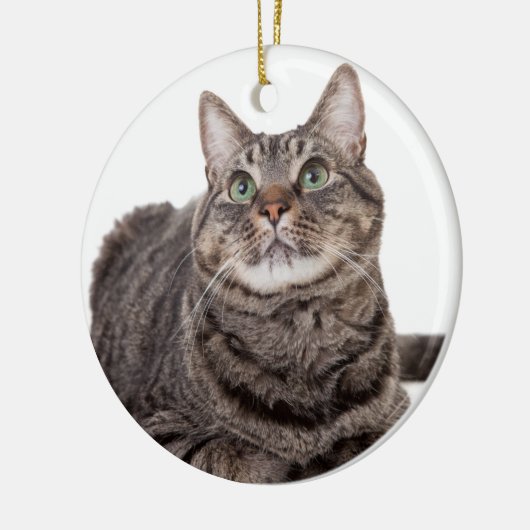 Gray Tabby Cat Keramisch Ornament (Links)